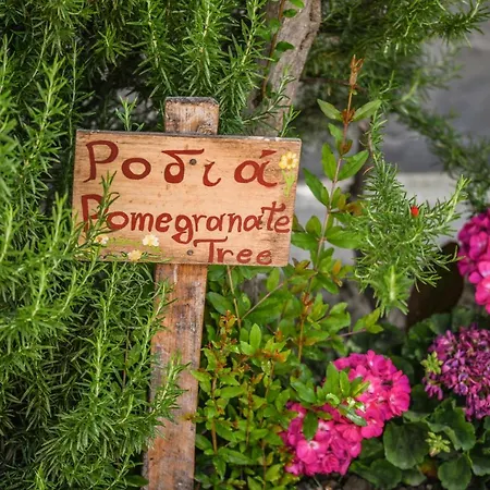 Therianos Traditional *