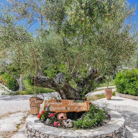 Pensiune agroturistice Therianos Traditional