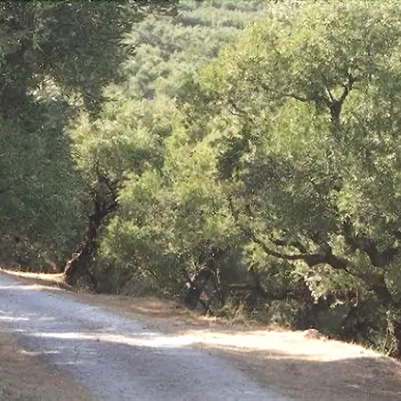 Therianos Traditional 팜스테이