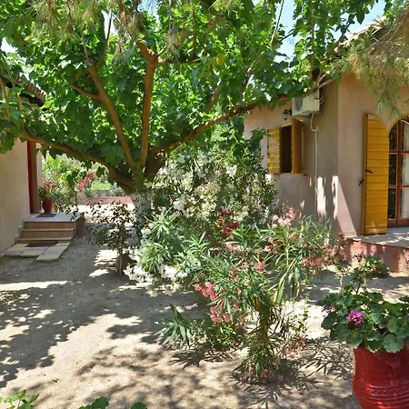 Therianos Traditional 팜스테이 *